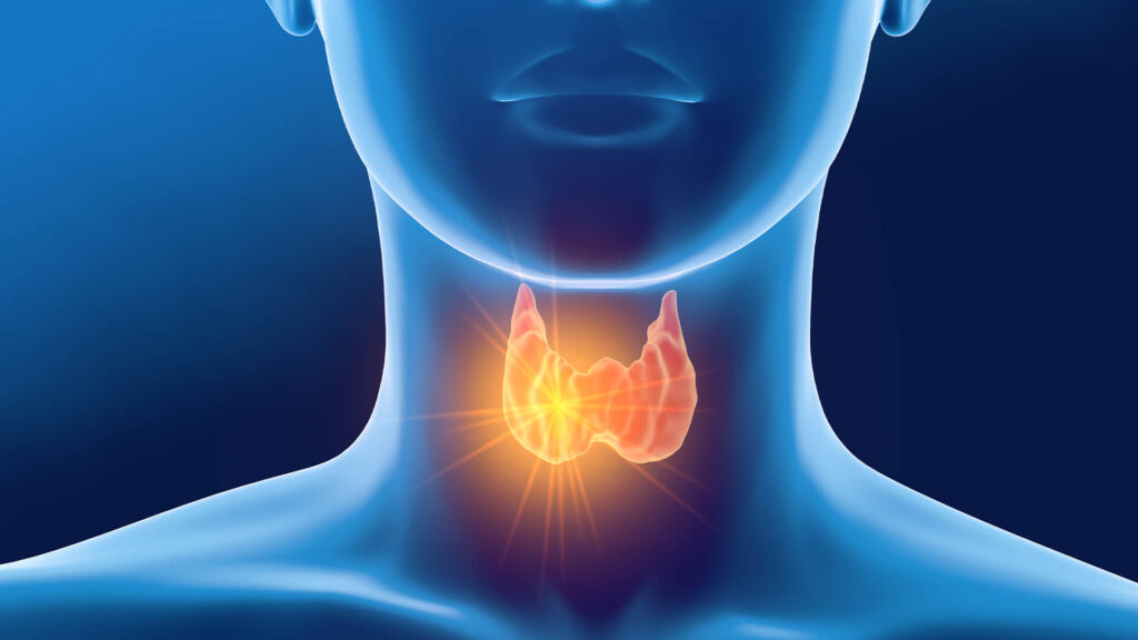 Endocrinología