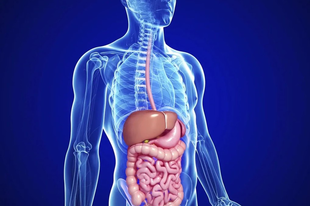 Gastroenterología